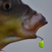 Dynamite Baits Mini Wowsers